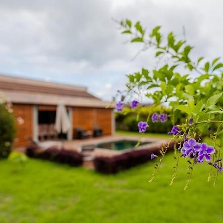 Grand Bay Luxury Villa With Pool & Garden Extérieur photo